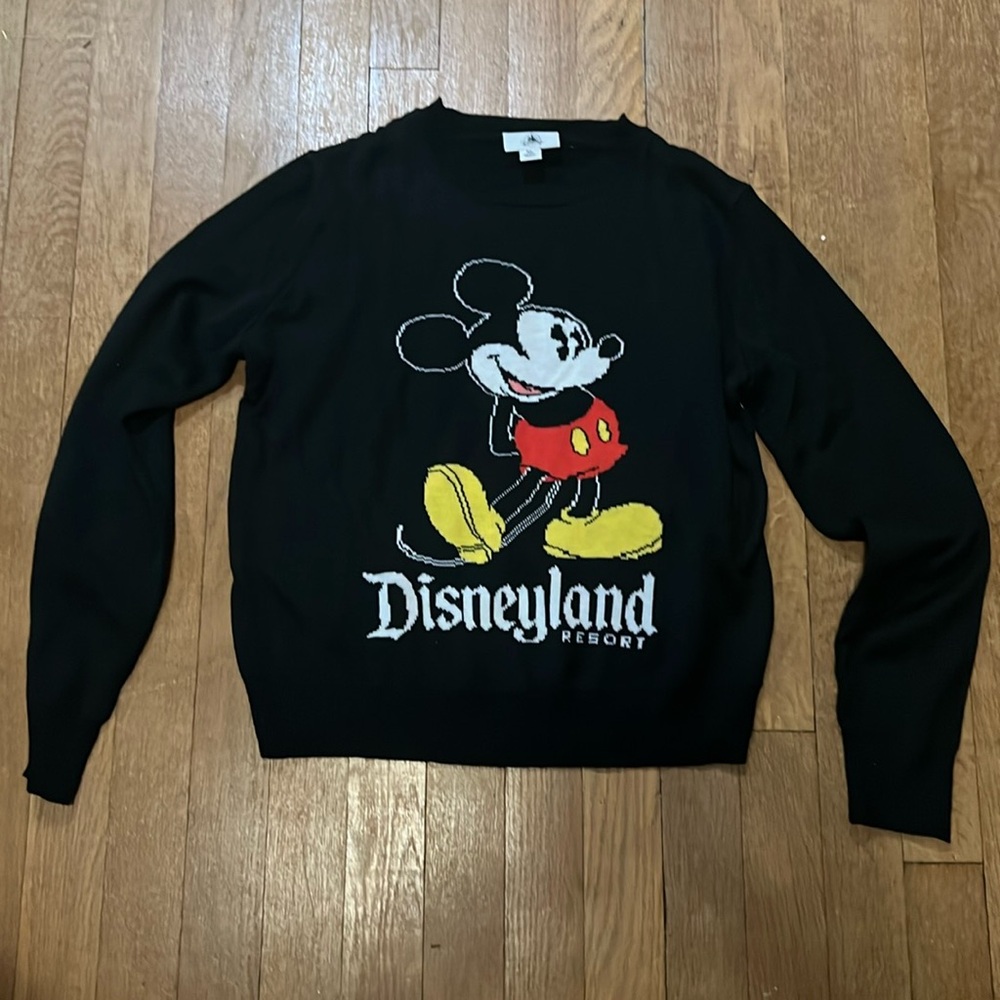 Disneyland sweater- boys or girls